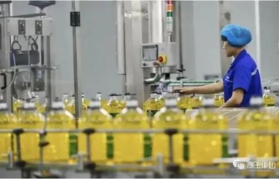 濱州獲評2個山東省農(nóng)產(chǎn)品加工業(yè)高質(zhì)量發(fā)展先行縣