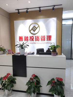 安徽善融信息咨詢 專業投資信息咨詢的領航者